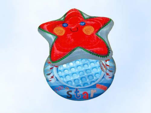 استخر بادی سایباندار ستاره